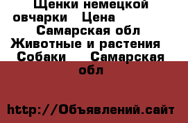 Щенки немецкой овчарки › Цена ­ 30 000 - Самарская обл. Животные и растения » Собаки   . Самарская обл.